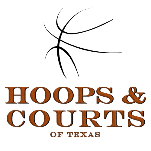 Hoops and Courts Icon